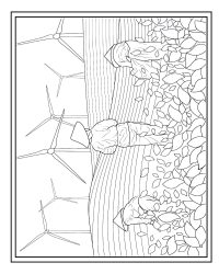 tinywow_Paperback Interior (Coloring_adult_Landscape_1) 8X10 142 pages No Bleed RGB_10180880_33